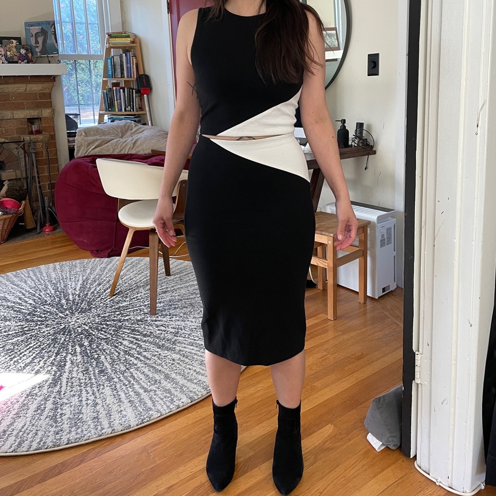 Adorable Alice + Olivia skirt set—size 4